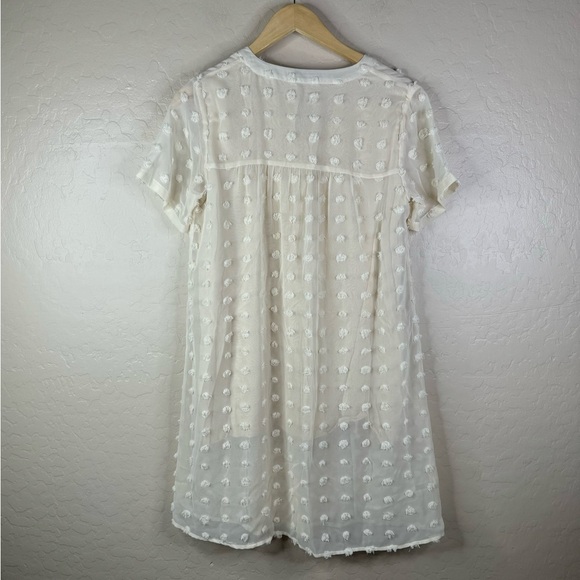 Chiffon Swiss Dot Flowy Mini Dress - Picture 4 of 7